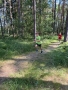 lipno2026_096